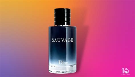 the best dior sauvage clone|colognes that smell like sauvage.